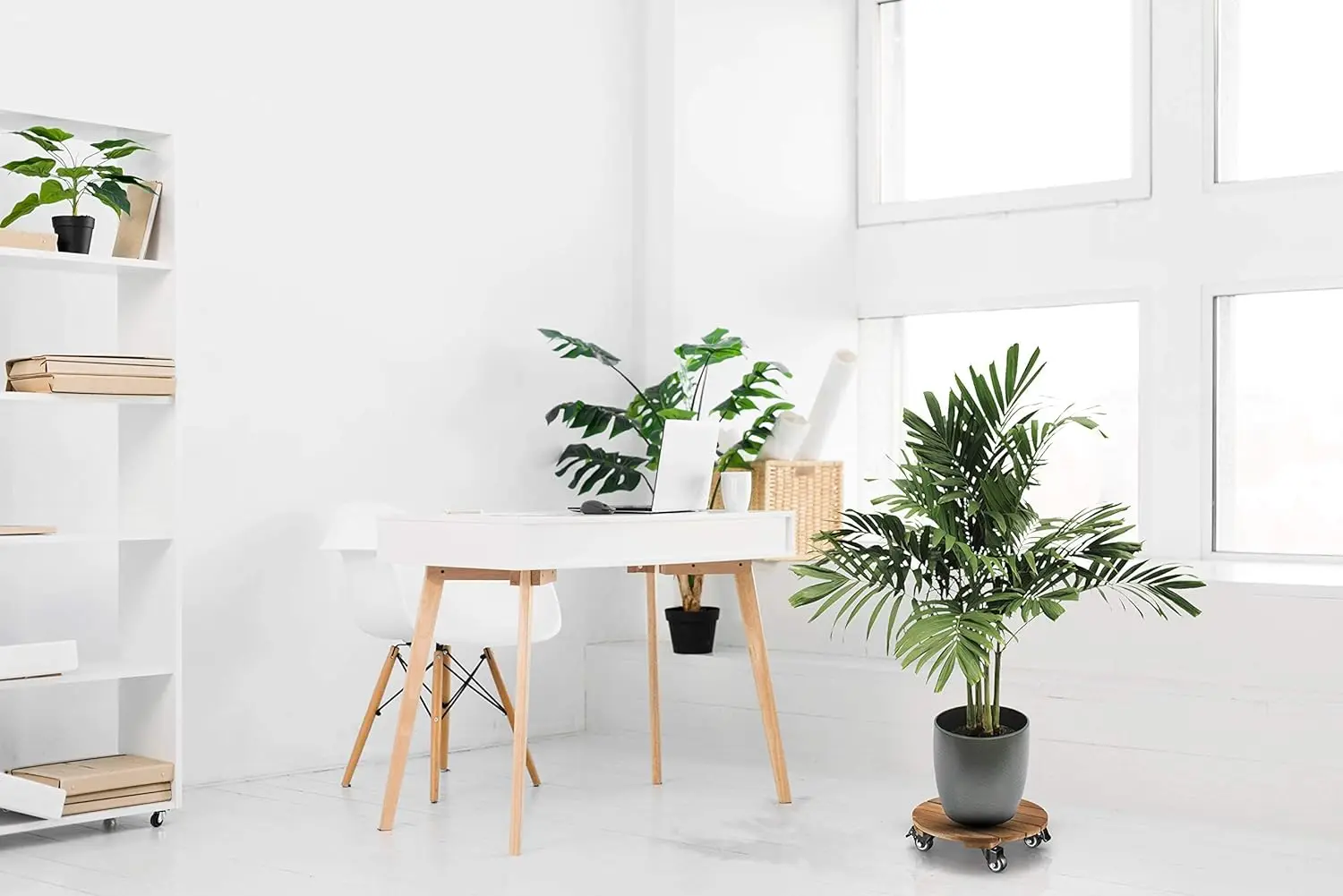 Wood Plant Caddy Wooden Plant Stand with Wheels Plant Dolly Rollers Cart Indoor Outdoor Rolling Tray Coaster Flower Pot Move