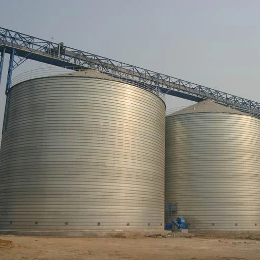 Индивидуальные рисовая мельница силос для завода с вспомогательными системами