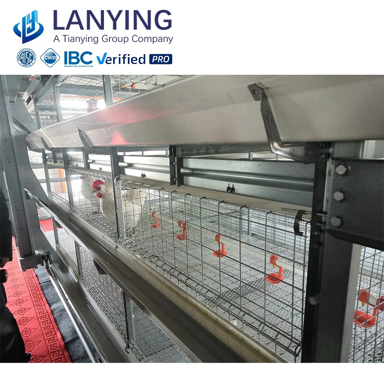 steel structure Poultry chicken farm/Environmental low cost prefabricated