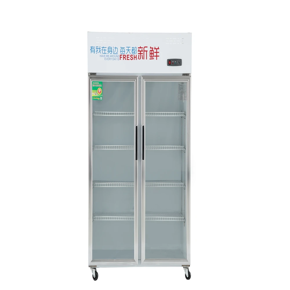 New Model Customized Refrigeration Display Chilled Showcase Double-Sided Display Double Doors Refrigerated Display Freezer