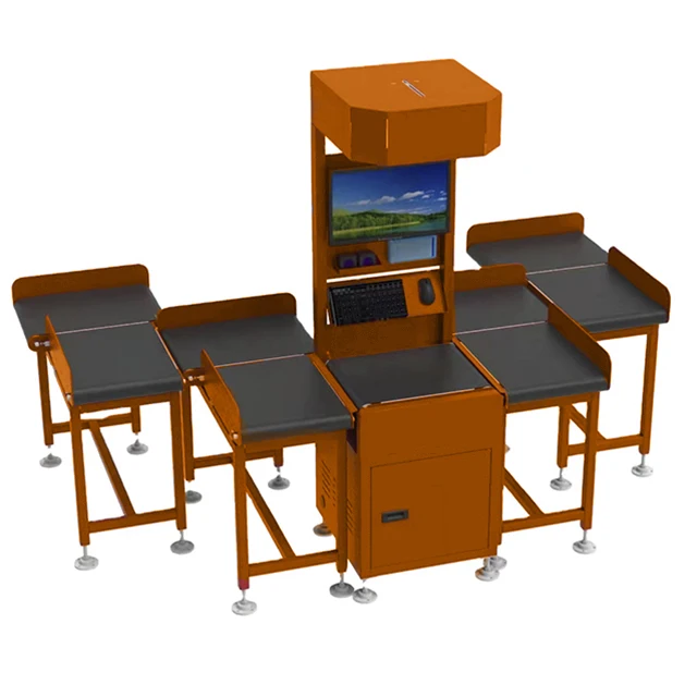 Customized ports DWS Zigzag machine dimension weight scale high accuracy system