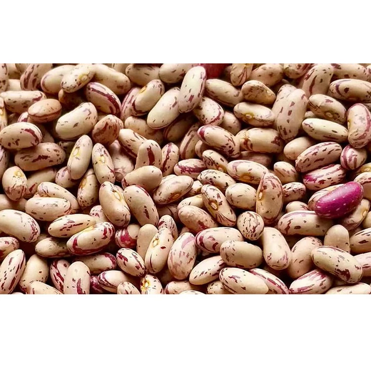 
Uzbekistan Factory Supply Organic Light Speckled Kidney Beans 