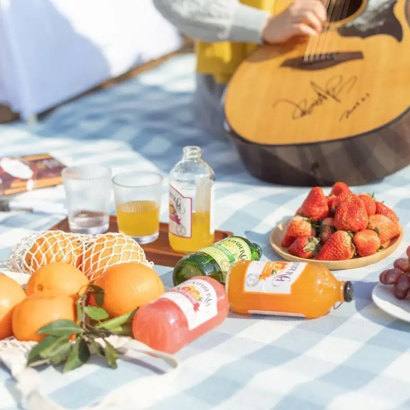 Waterproof Moisture-proof Beach Mat Leather Bandage Picnic Blankets Camping Moisture-proof Mat for Outdoor