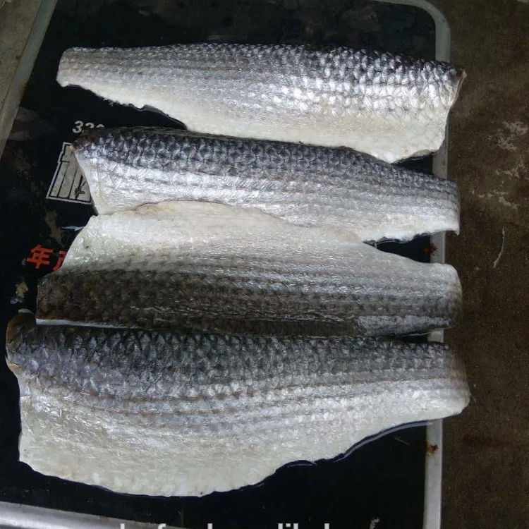 
Wholesale Good Quality frozen fish grey mullet fillet 
