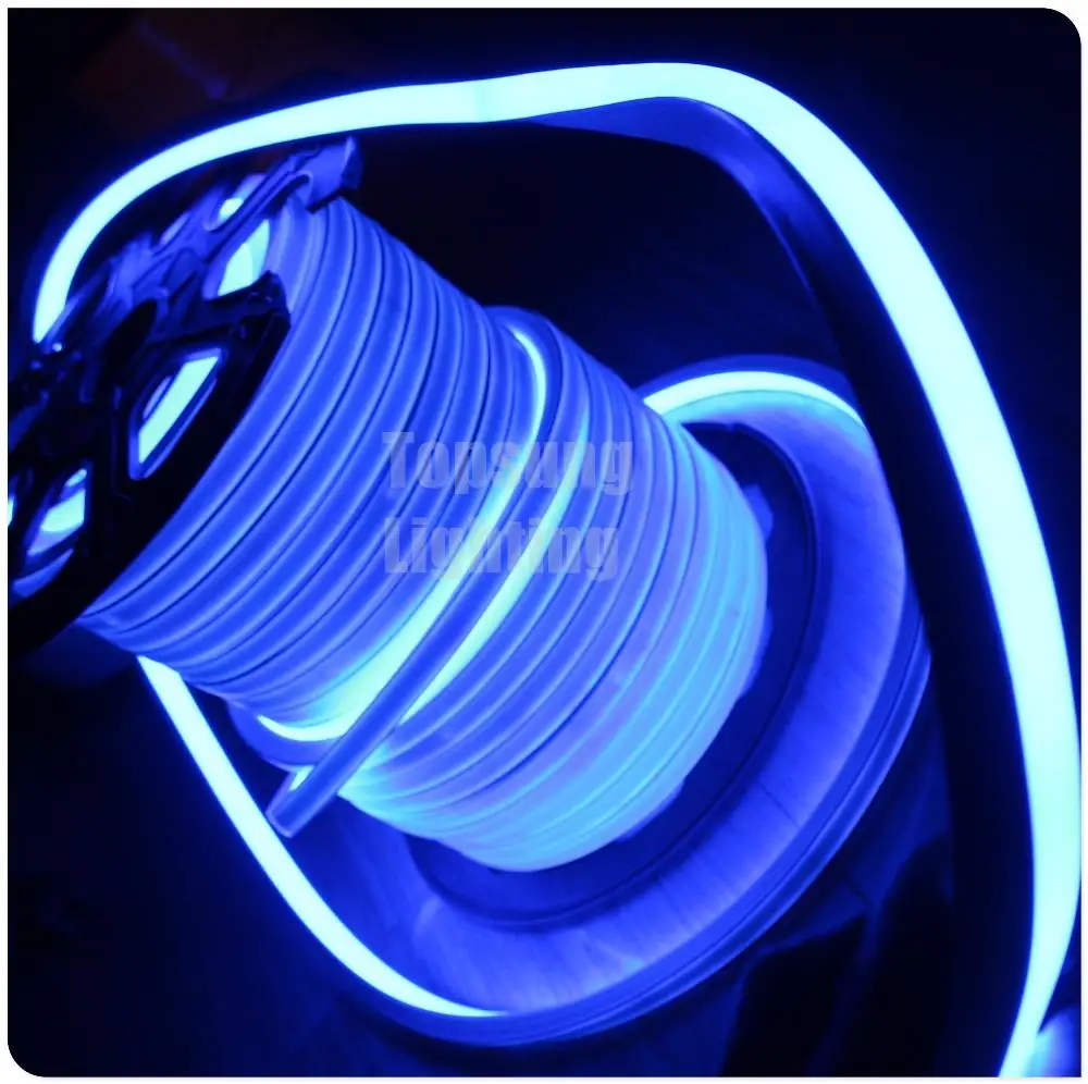 5050 waterproof cinta led navidad 120 led flexible neon led tubes 1616 blue 220v christmas led neon light