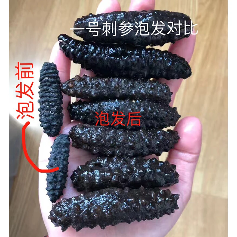 Сушеный морской огурец polii tubulosa, греческий морской огурец