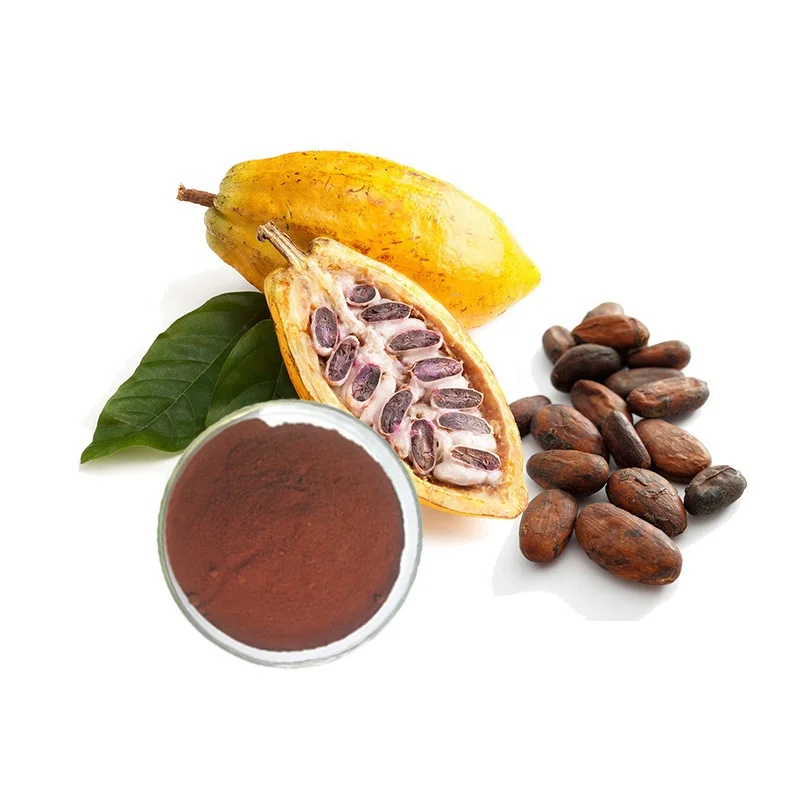 Factory supply high Purity Theobroma 100% Cacao Raw Cocoa Powder for health food