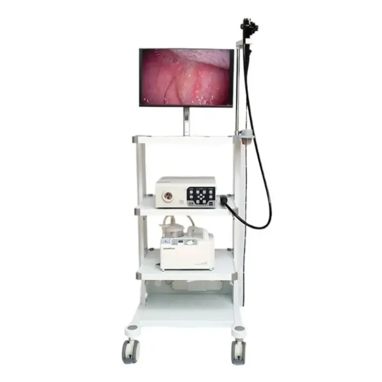Multi-functional Surgical Equipment Portable Veterinary Gastroscope Set Endoscope for Pets & Horses