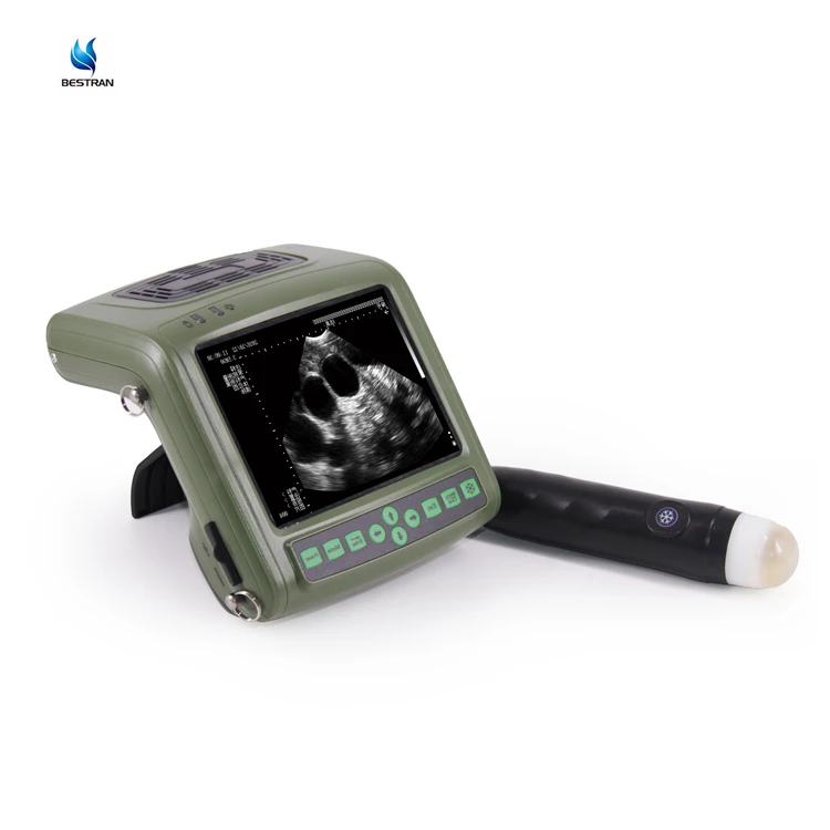 BT-VUD69 Bestran fast delivery vet USG machine portable Veterinary Ultrasound Scanner with battery