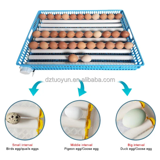 TUOYUN Good Quality Ac Dc High Safety Level 320 Eggs Fully Automatic 12v 220v Chicken Egg Incubator