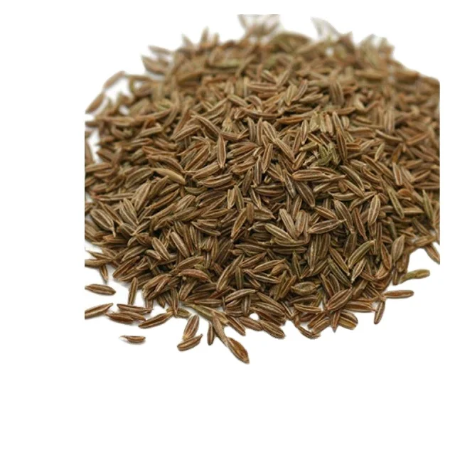 
hot sale black cumin seed price 