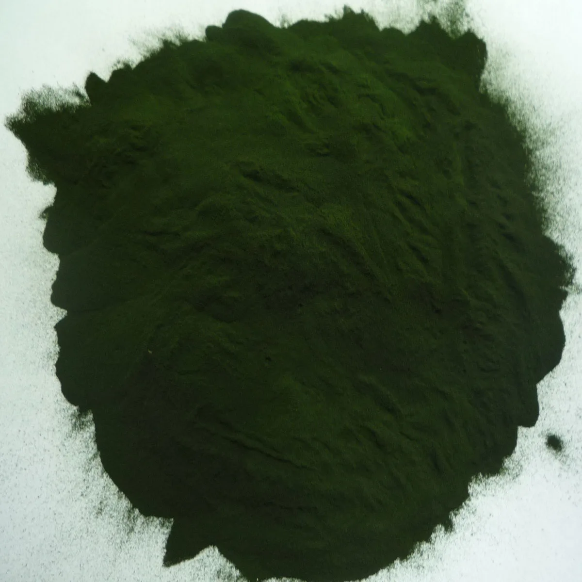 
100% Natural Organic Chlorella Tablets 