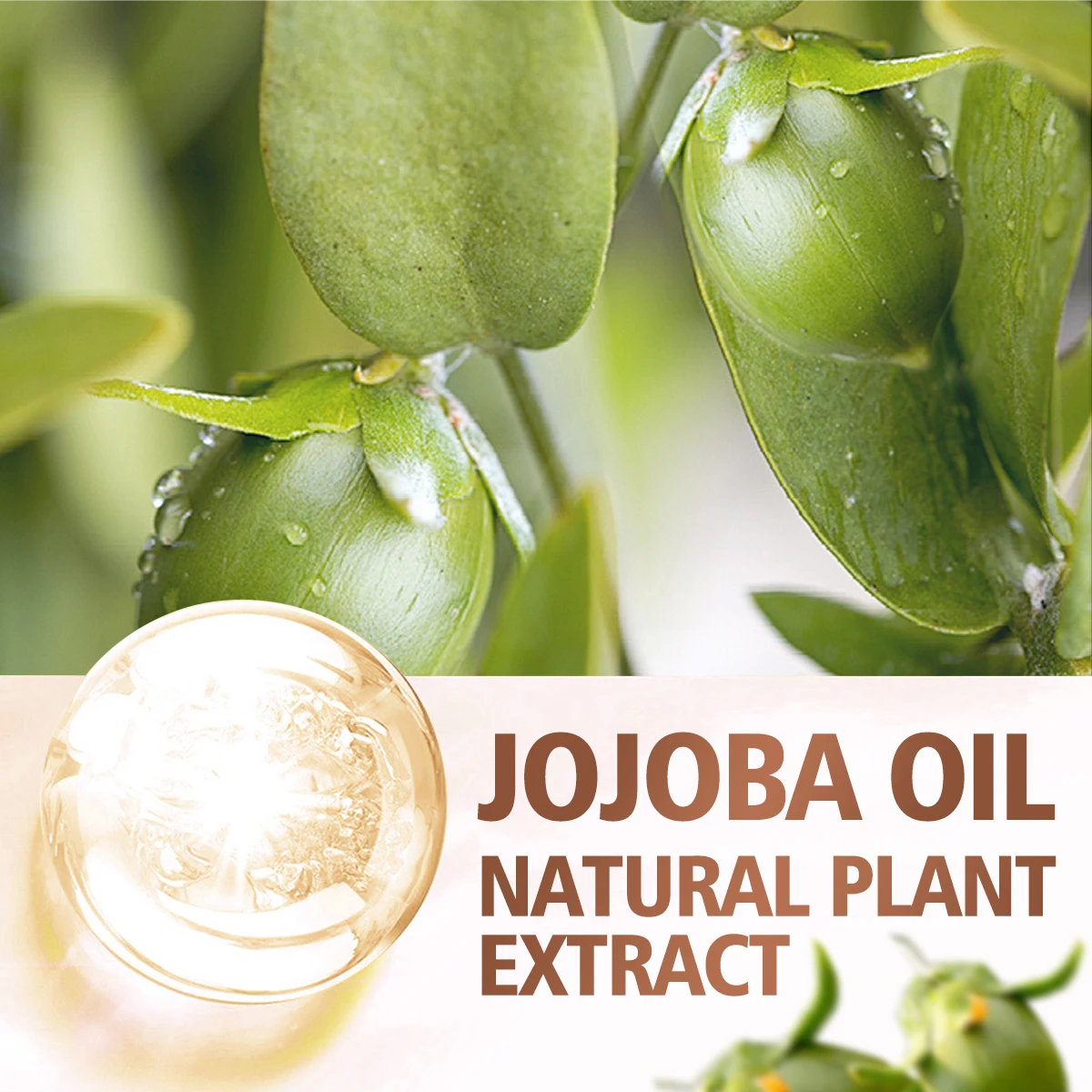 30ml Face Body Moisturizer Private Label Refined Jojoba Oil Organic Bulk Wholesale,hair Care Cuticle Organic Pure Jojoba Oil