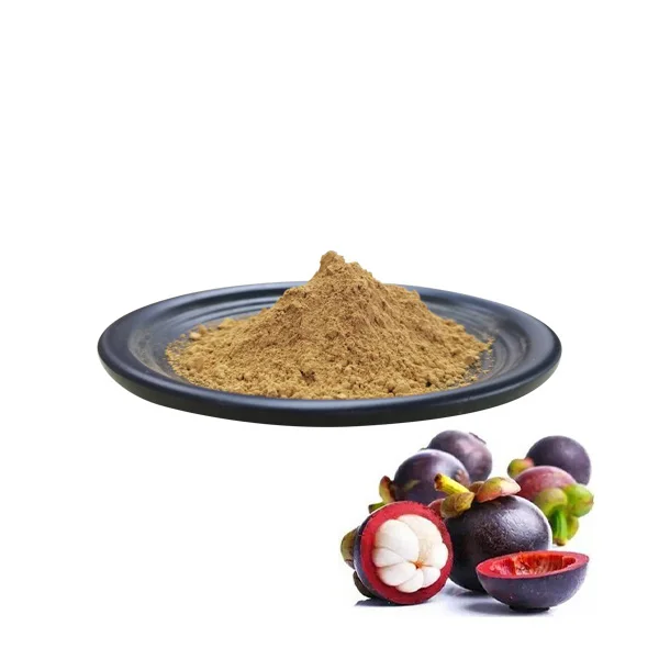 Factory Wholesales Mangosteen Fruit Extract Alpha Mangostin Powder 20% HPLC
