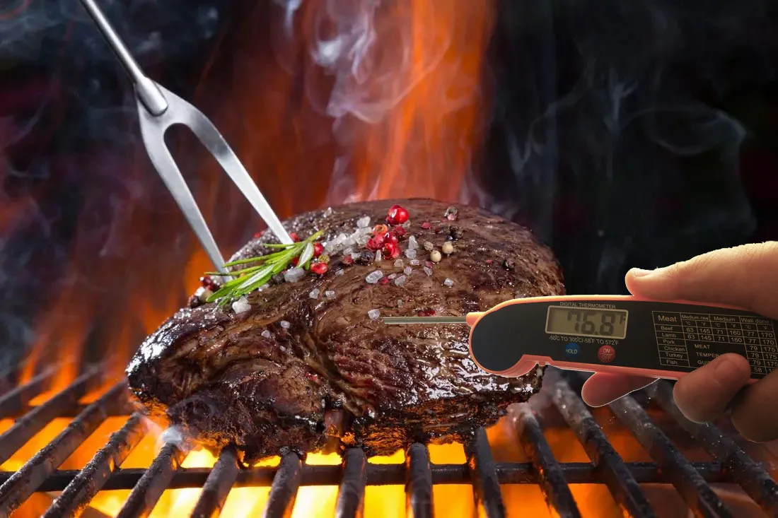 Syh1184 Accurate Food Electronic Thermometer Digital Kitchen Food Meat BBQ Barbecue Thermometer with Pop Up Probe