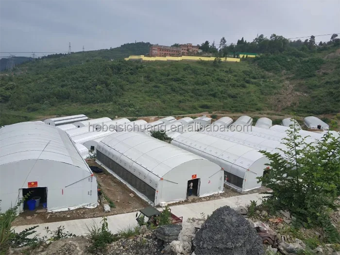 Low Cost goat farming Easy assemble steel structure goat farm shed