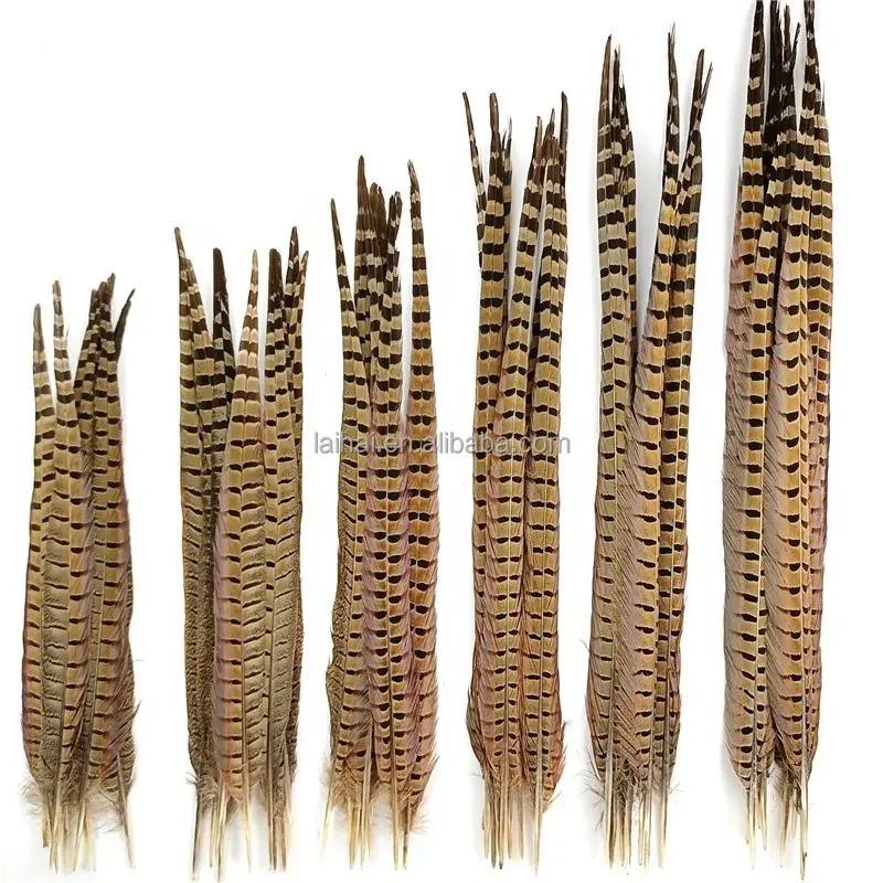 Высокое качество, дешевые натуральные перья фазана 50-60 см, декоративные перья фазана для продажи