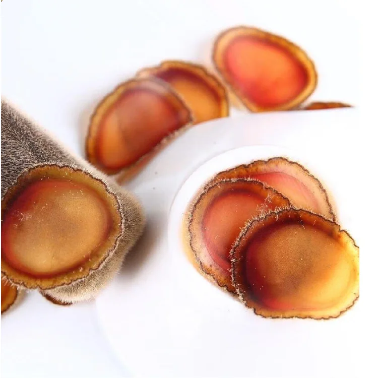 JINGHANG олень ферма прямые оптовые продажи улучшенное кровообращение и восстановление мышц яд-зерновые разведения оленьи рога ломтики