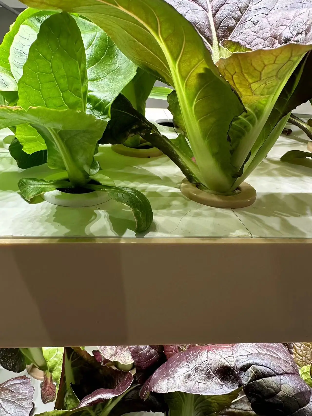 China factory greenhouse Indoor soilless planting frame vegetable hydroponic system