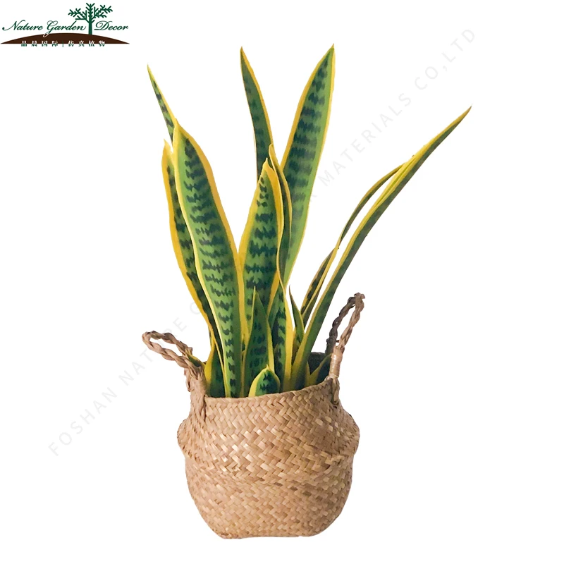 Мини искусственное дерево змеи для дома Sansevieria пластик карликовые деревья завод