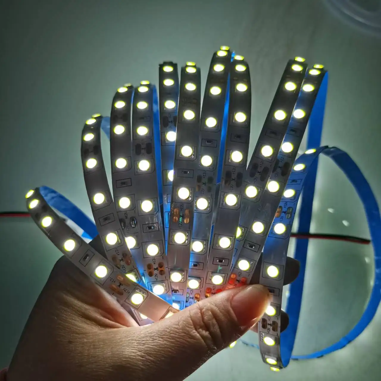 Flexible tape driver with strip light DC12V 5050 60leds/m bright flexible high tape led 5M LED Strip Light