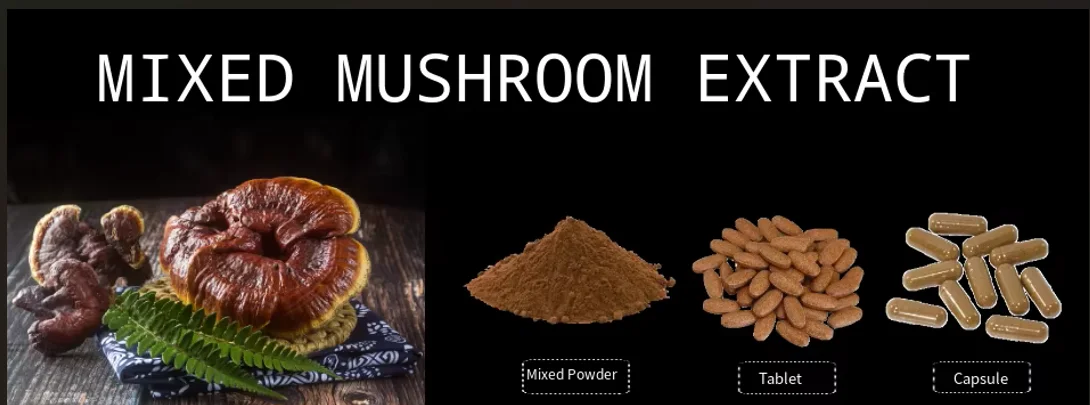 Plant Extract Reishi Mushrooms Extract 223751-82-4 (Ganoderma Lucidum) renshi plant extract with high quality