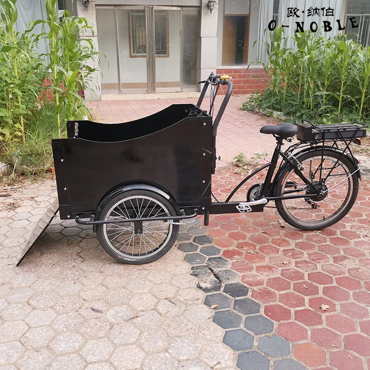 Electric tricycles 3.wheel electric cargo bike Black mini pet car