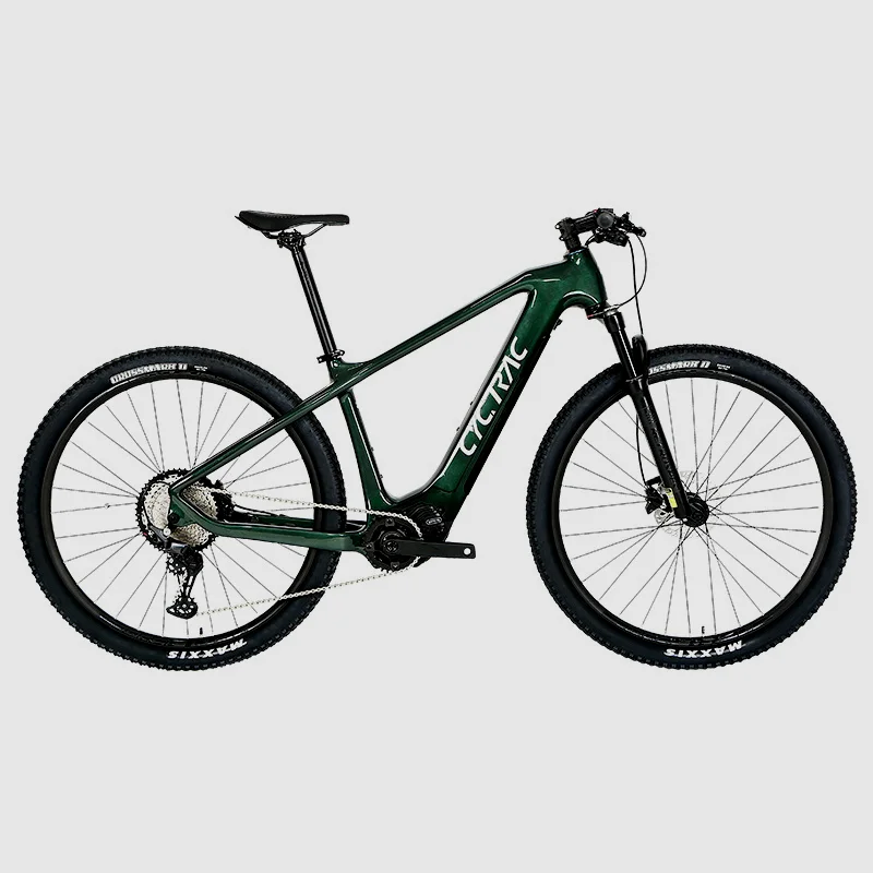 Top Quality Carbon Electric Bike Bafang M510 Mid Motor 250W Mountain Bicycle 29 Inch EMTB with Hidden Battery for Men