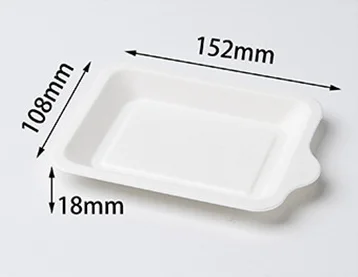 Disposable Compostable Eco-friendly Biodegradable Bio Small Mini Food plate sugarcane square plates sets dinnerware  restaurant