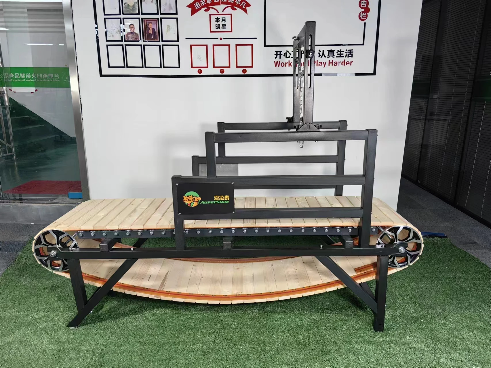 Alipetsmile new style dog treadmill  medium dog slatmill for big dog walking inside