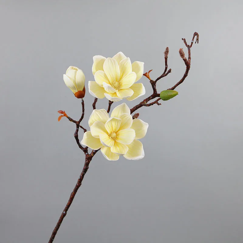 Wholesale Real Touch Handmade Artificial Flower Orchids Artificial Carton Customized Natural Preserved flower