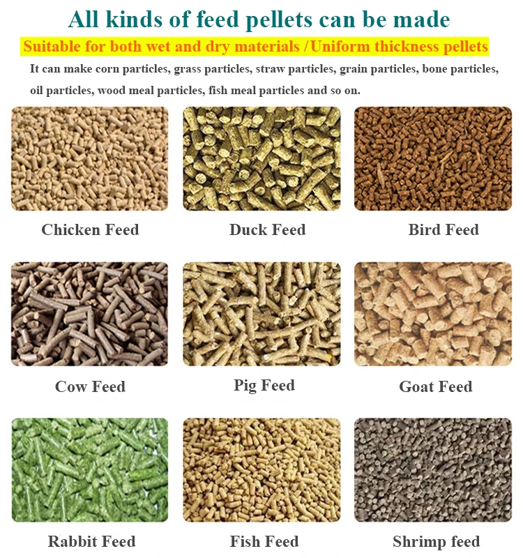 feed pellets.jpg
