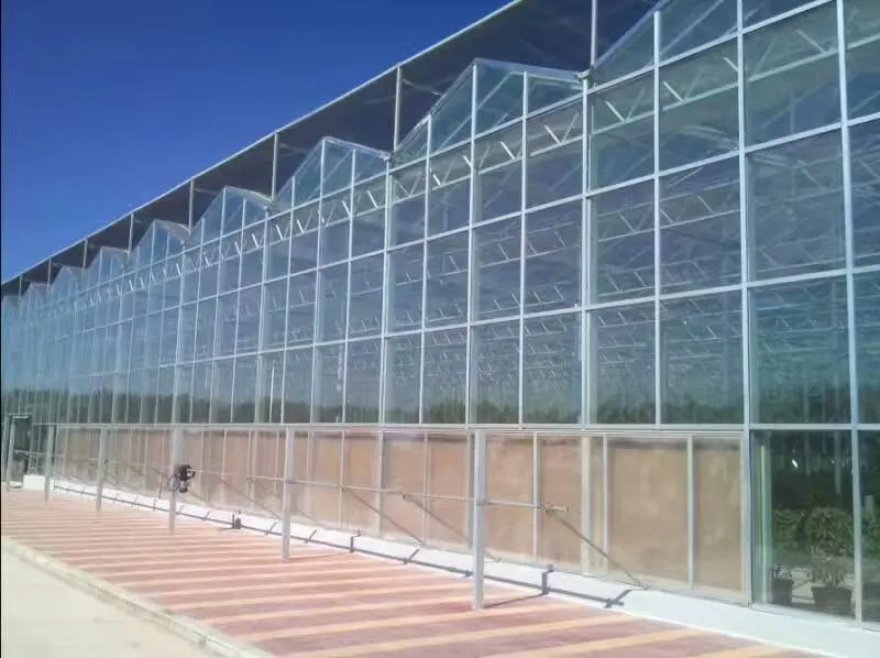 Wholesale greenhouse roofing 6mm polycarbonate hollow sheet