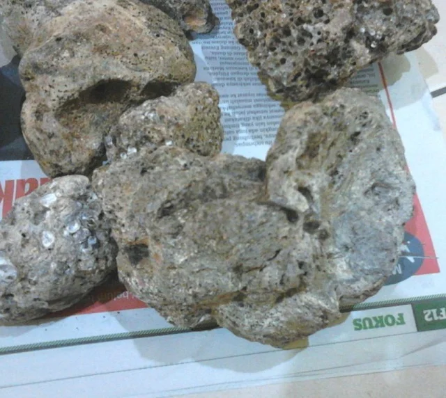 Кит амбра для продажи