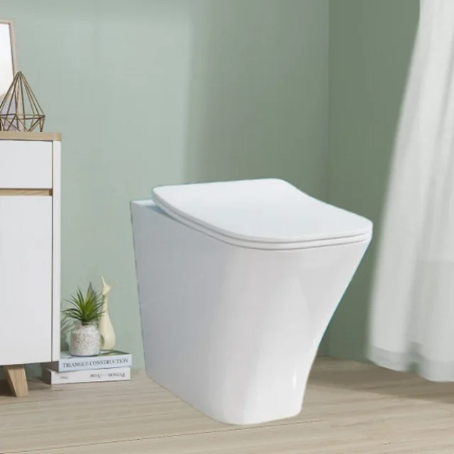 Custom One-Piece White Ceramic Toilet Seat with Shower Modern Design Chinese P-Trap Bathroom Size Back Wall Toilet