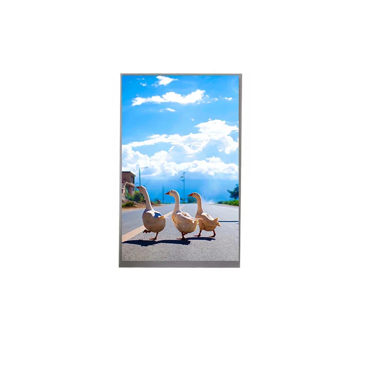 10.1 Inch 800 x 1280 TFT MIPI Interface IPS LCD Display Screen For Video Game