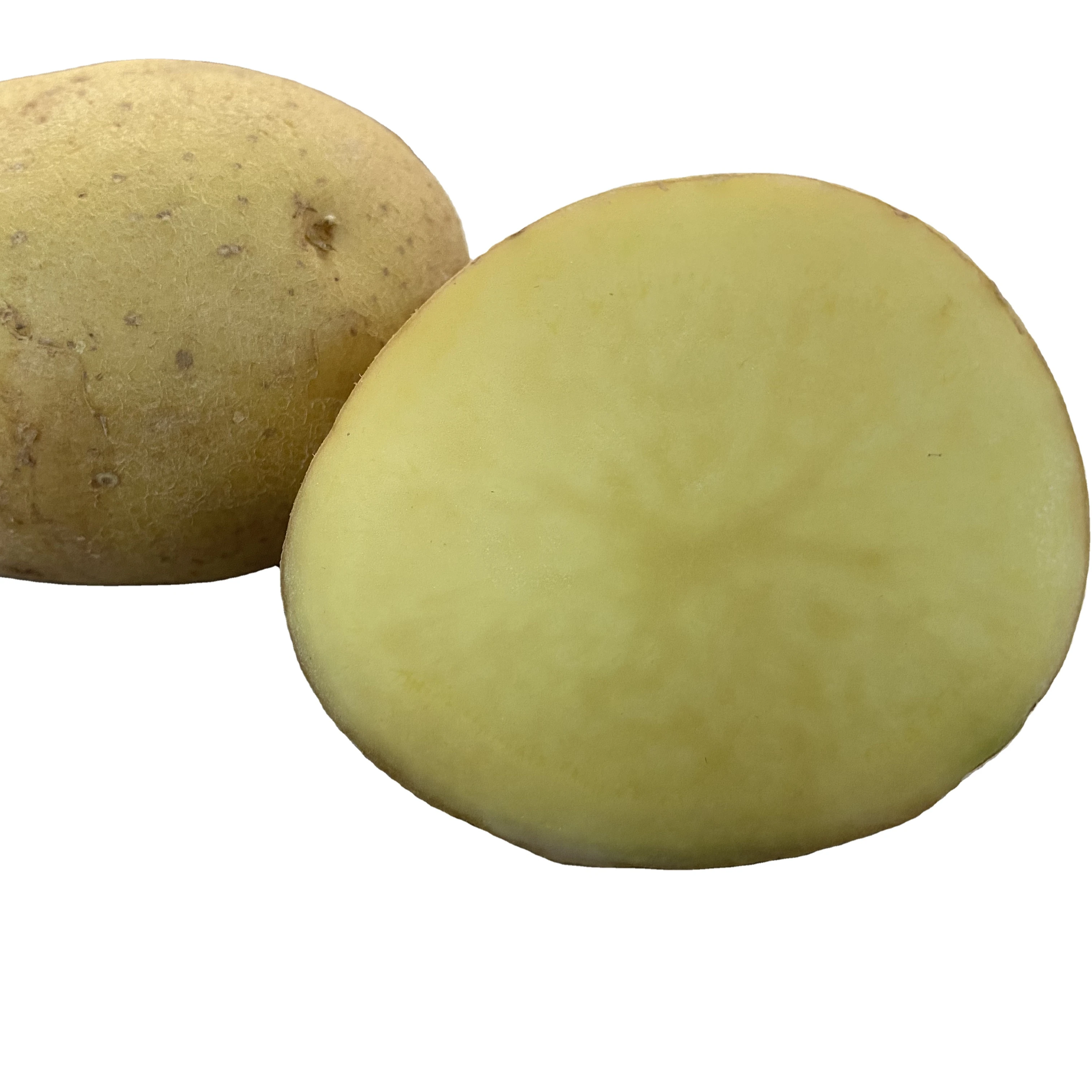 15.1% содержание картофельного крахмала китайский свежий картофель