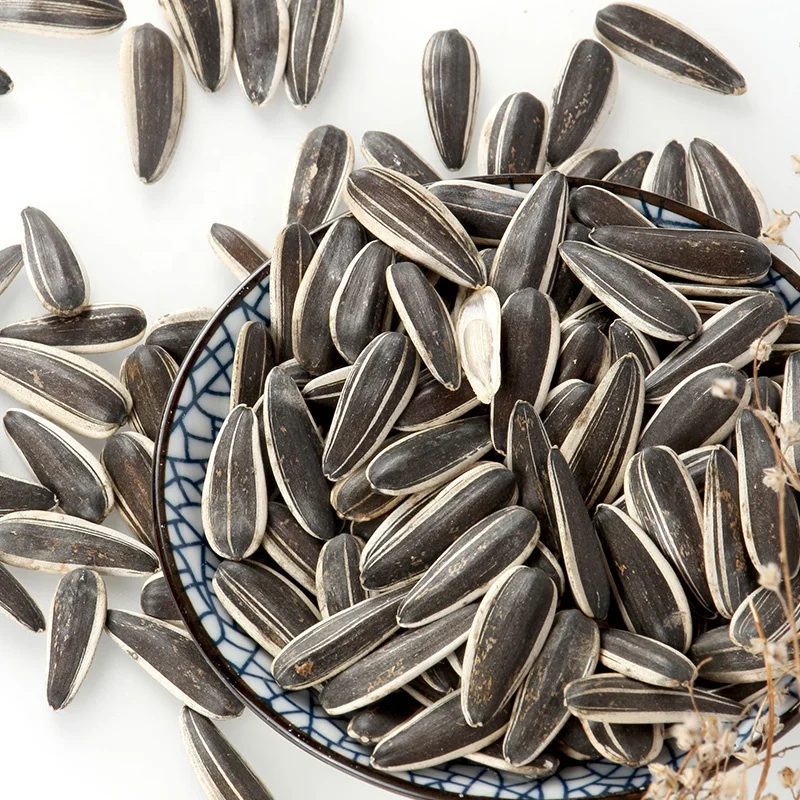 Wholesale China New Type Big Size  Sunflower kernels Seeds green sunflower seeds