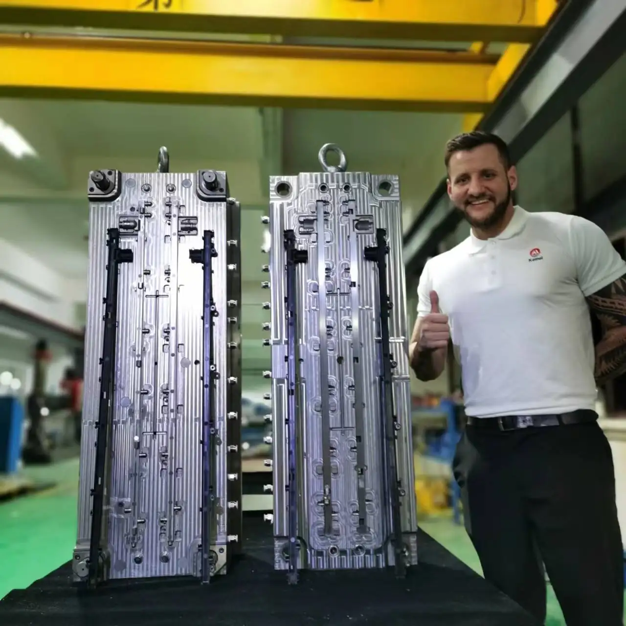 Пользовательские Pe Pet Abs Pp Pc Pa66 ПВХ пластиковые детали для литья под давлением формы