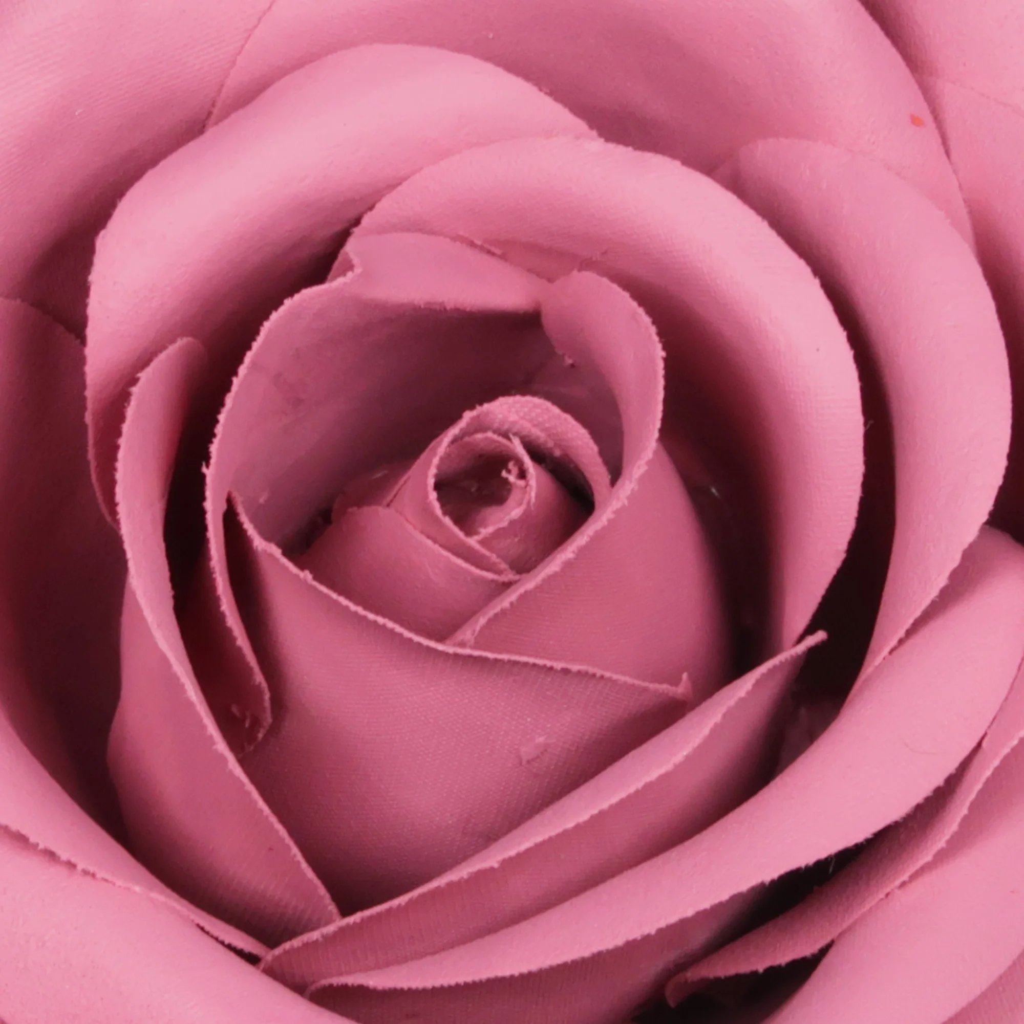 Custom Logo Private Label Pink Rose Red Brown Fabric Rose Blush Blusher Cheek Face Makeup Product Daily Use Customization