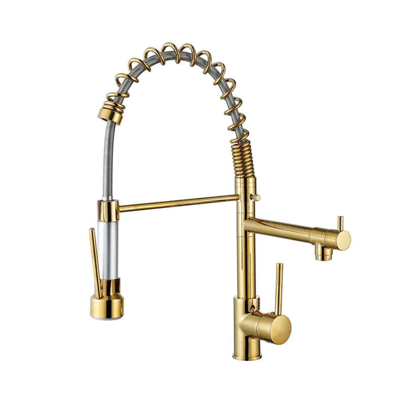 Shower Sprayer Spring Double Handles Kitchen Sink Taps Faucet Gold Brass 304 Stainless Steel Contemporary Two Ways Pull Down