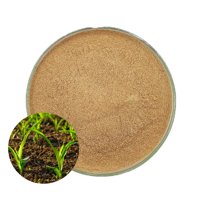 Mycorrhiza biological fertilizer bacillus subtilis