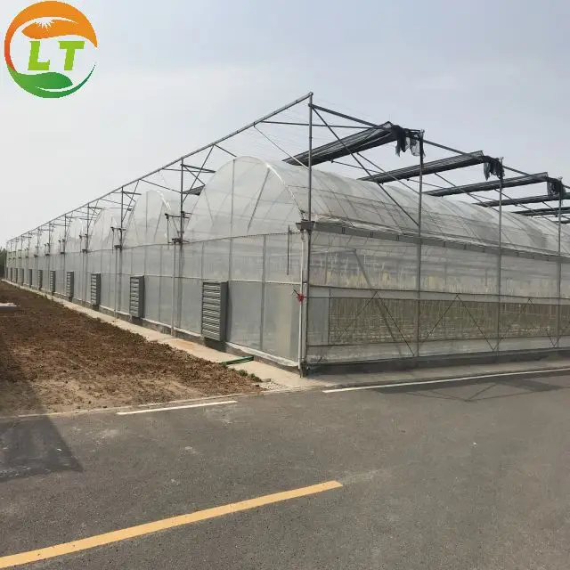 Пленка низкая цена лидер продаж рама пластиковая листовая теплица с системой выращивания томатов Большая большая фермерская оросительная система 8-9 6 м