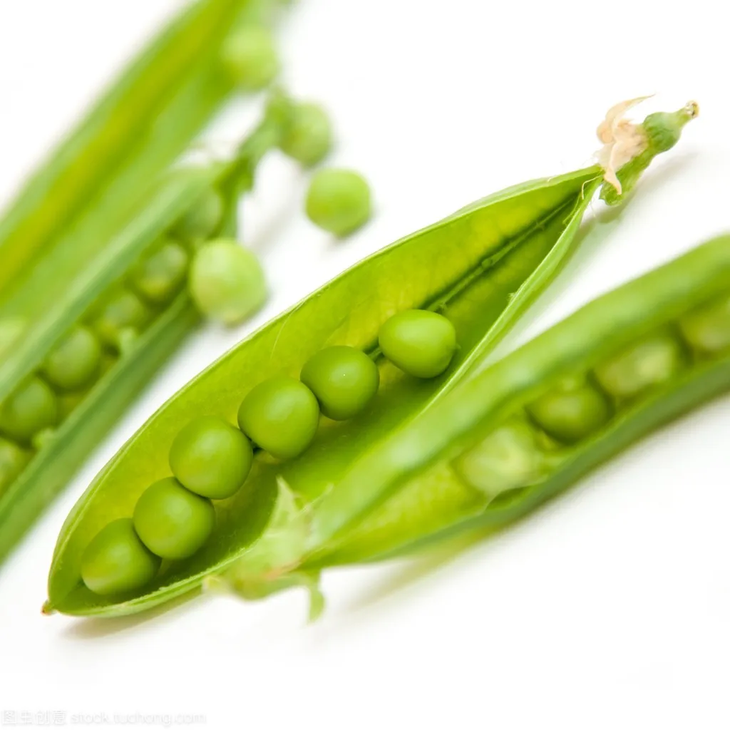 Best Quantity Green Product Supply BRC Certificate IQF Frozen Vegetable Pea Pods