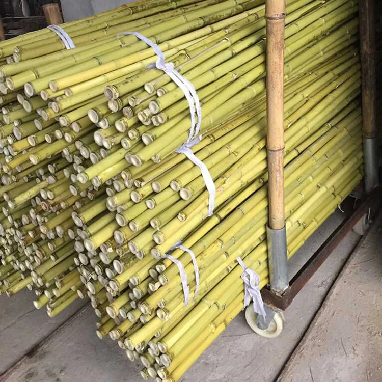 China Manufacturer Healthy Bamboo Seeds Natural Color Bamboo Cane