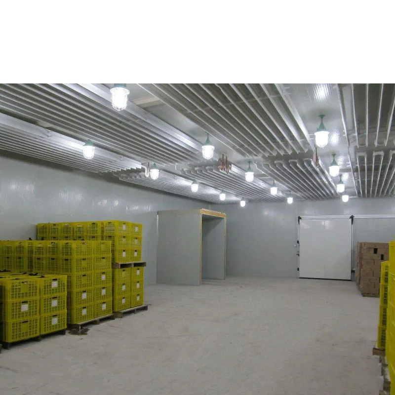Walk in freezer cold storage refrigeration cold store machine cold room for fish storage