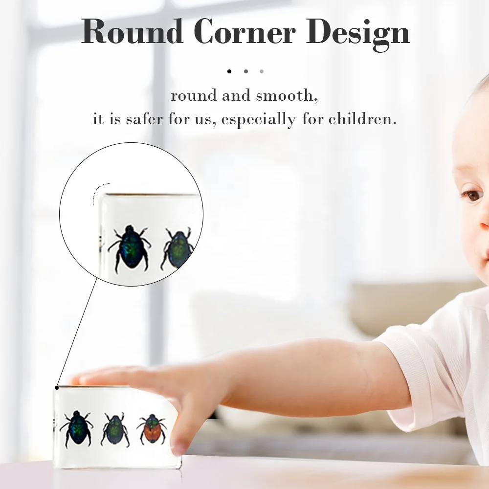 real beetles resin crafts three different kinds of beetles bugs in resin cube customized decoration for home living room