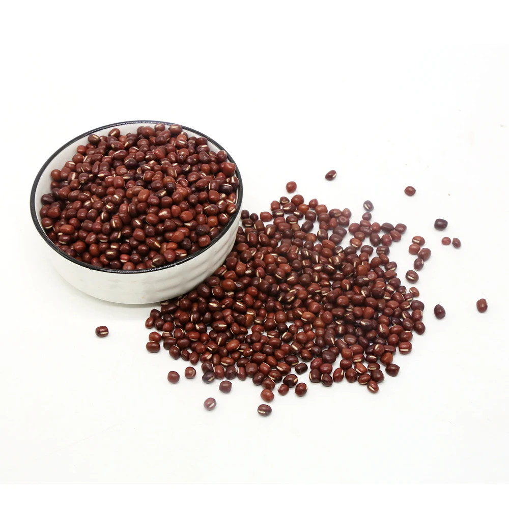 2021 New Crop Azuki Bean Dried Red Adzuki Beans For Sale with OEM packing