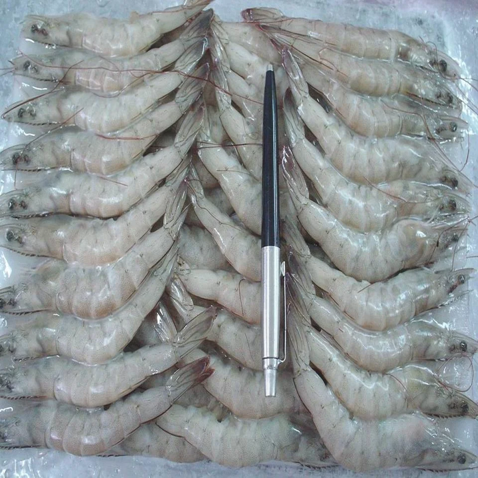 
Frozen Vannamei White Shrimp Export Vietnam, Japan, Korea 