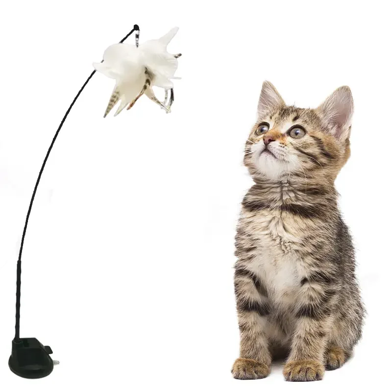 Cat Teaser Interactive Cat Toy for Indoor Outdoor Cats with Sticky Super Suction Cup Detachable  Hanging Door Kitten Toys